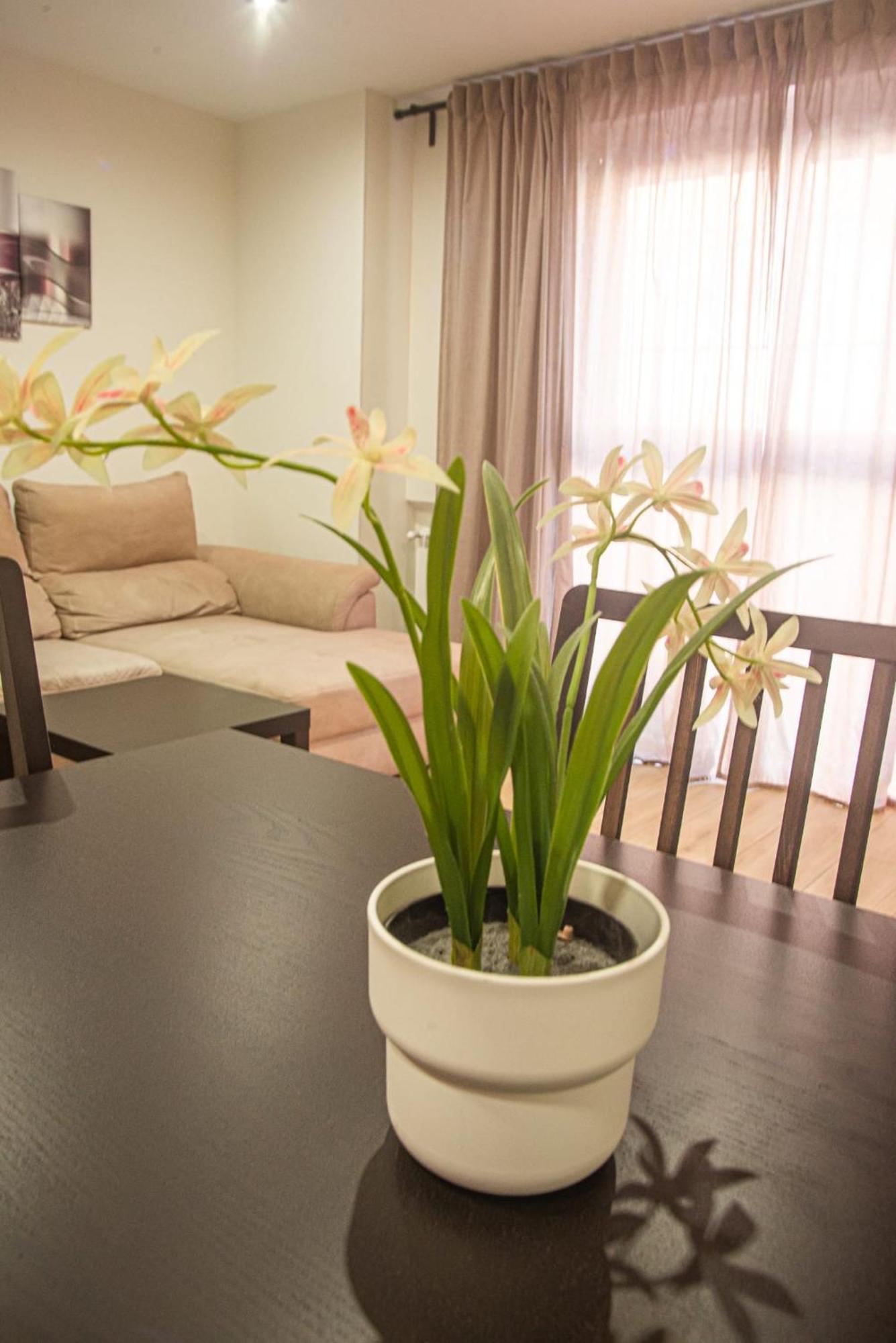 Apartmán Centro Historico Parking Vt-13960 Alcalá de Henares Exteriér fotografie